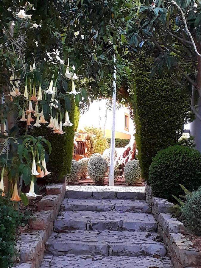 Aparte Wohnung Mit Sudterrasse Am Park Tavira Dış mekan fotoğraf